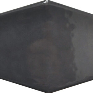 Bretagne Antracit blank hexagon 10x20