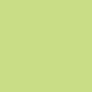 Colour basic Lime blank 15x15