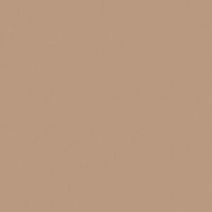 Colour basic Nougat blank 10x10