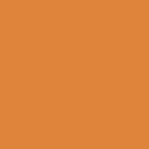 Colour basic Orange blank 10x10