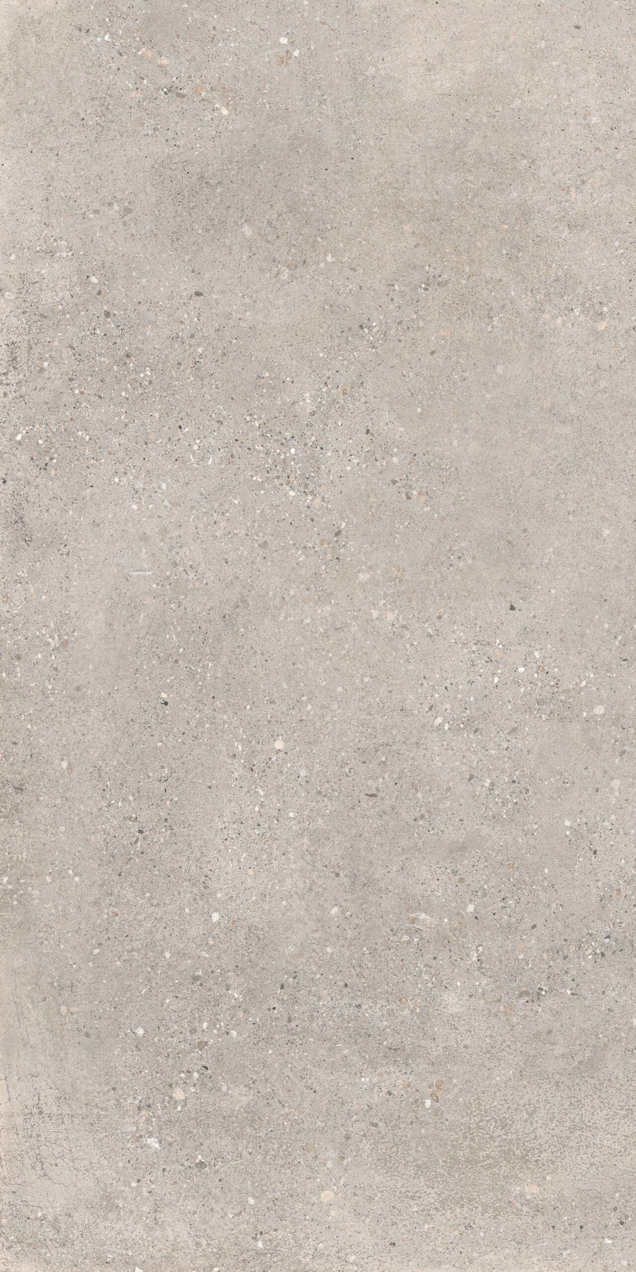 Cortina Grey 60x120 såg