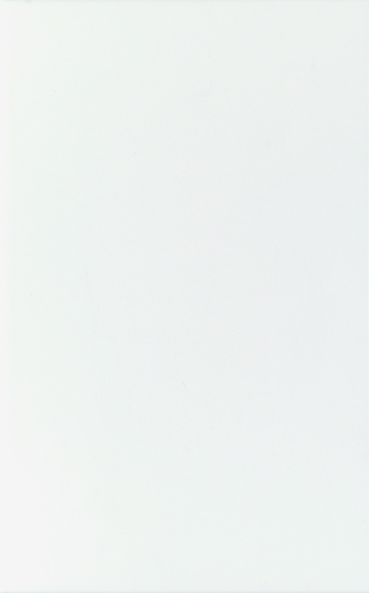 Fokus projekt Vit blank 25x40