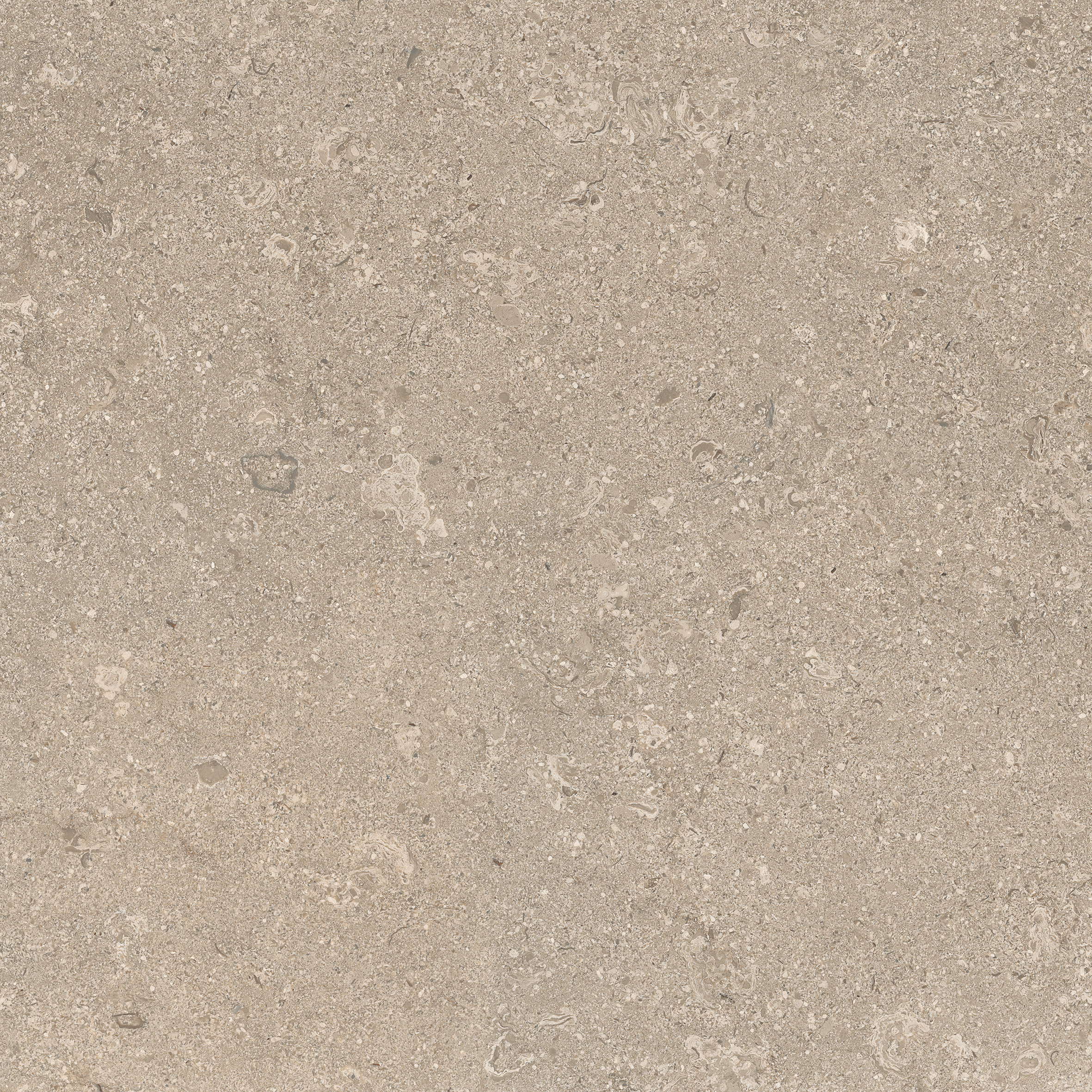 Limestone Beige 60x60 såg