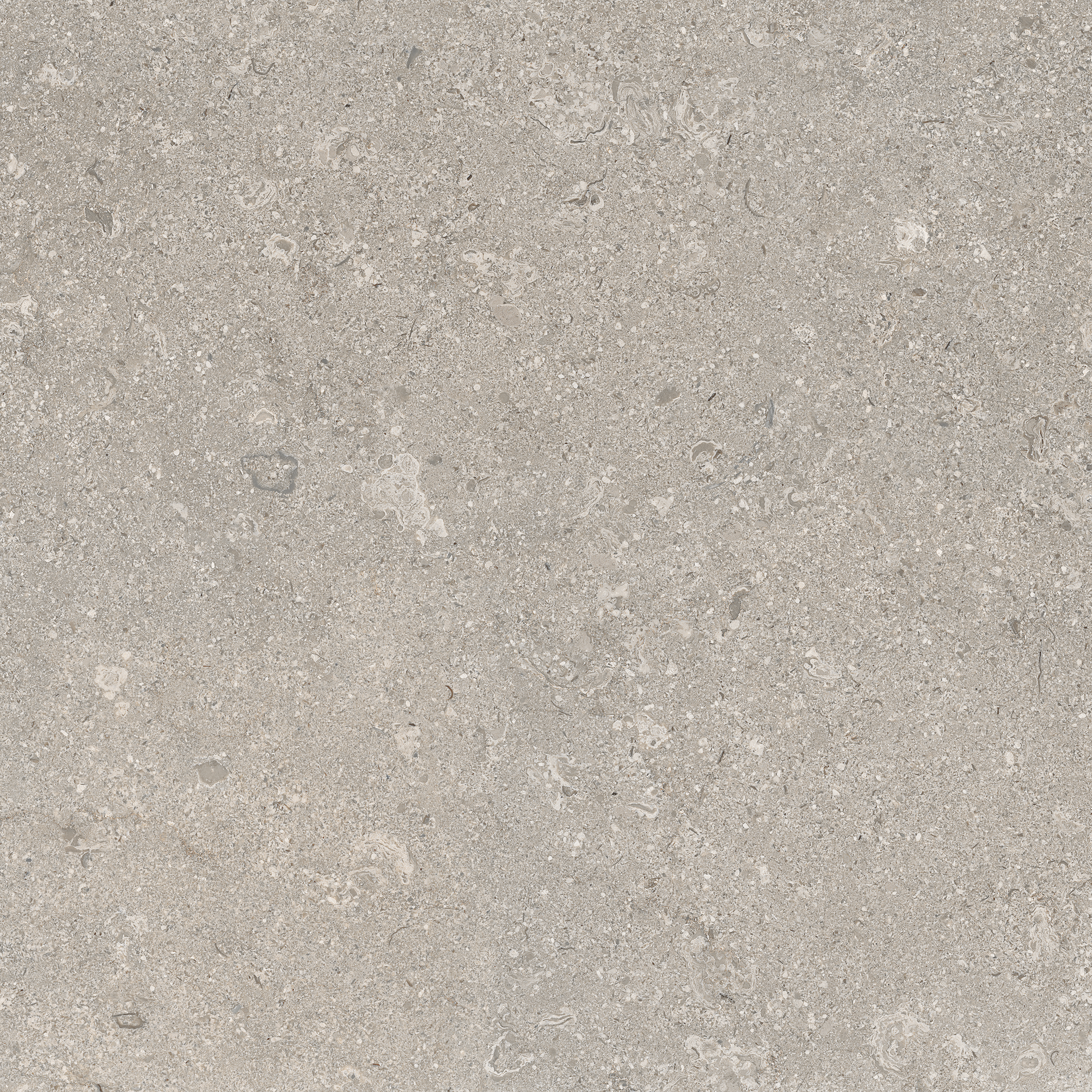 Limestone Grey 60x60 såg