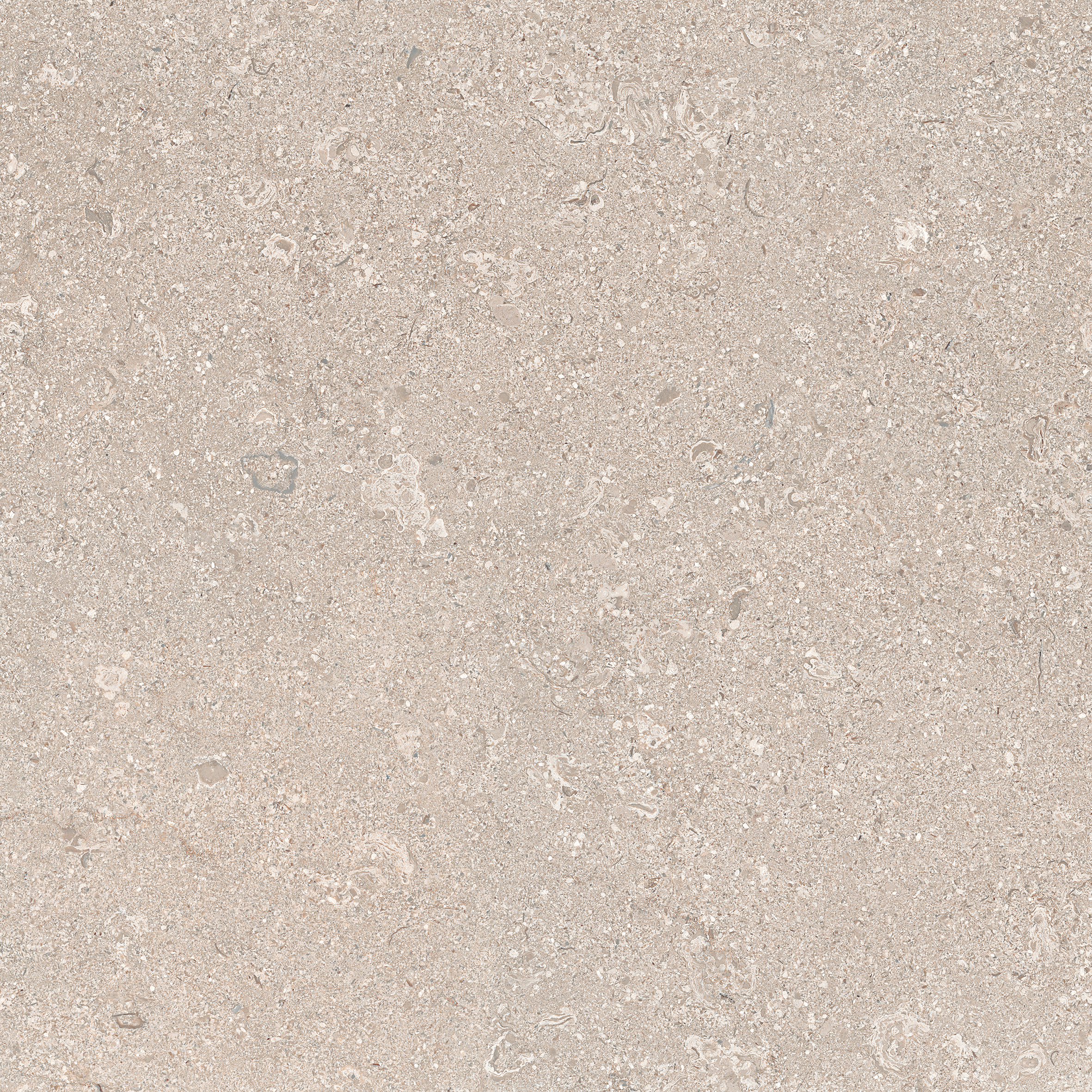 Limestone Ivory 60x60 såg