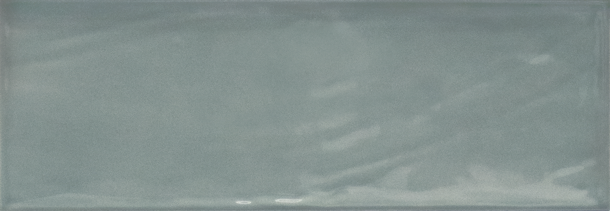 Village Salvia blank 10x30